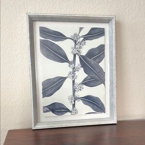 Framed Botanical Art Print